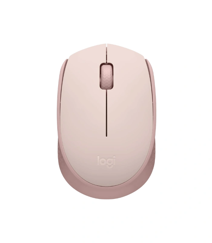 Logitech M170