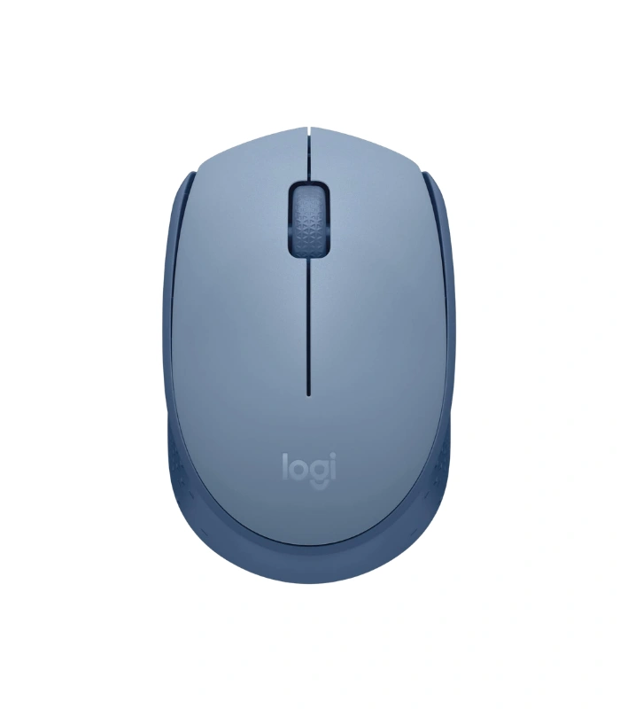 Logitech M170