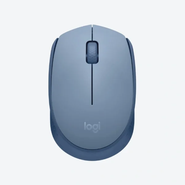 Logitech M170