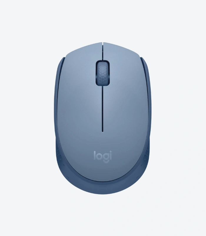 Logitech M170