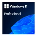 Microsoft Windows 11 Pro