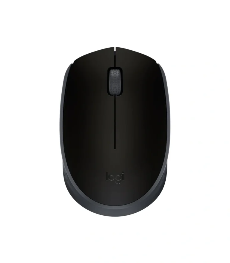 Logitech M170