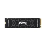 Kingston Fury Renegade