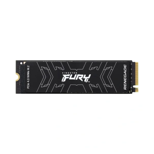 Kingston Fury Renegade