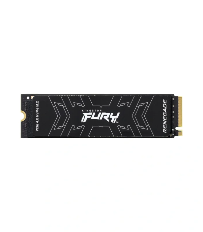 Kingston Fury Renegade
