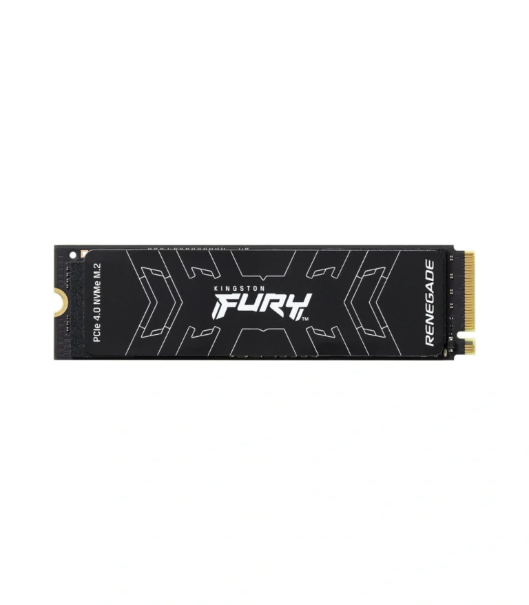Kingston Fury Renegade