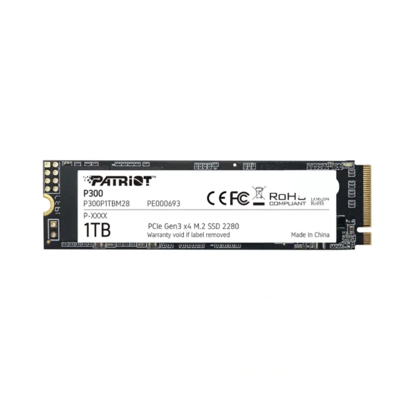 Patriot P300 1TB