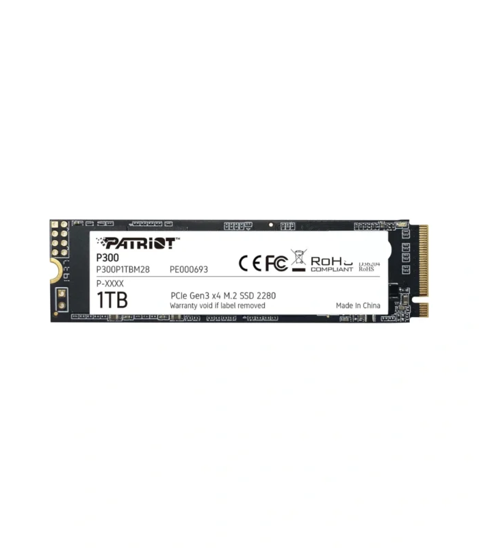 Patriot P300 1TB