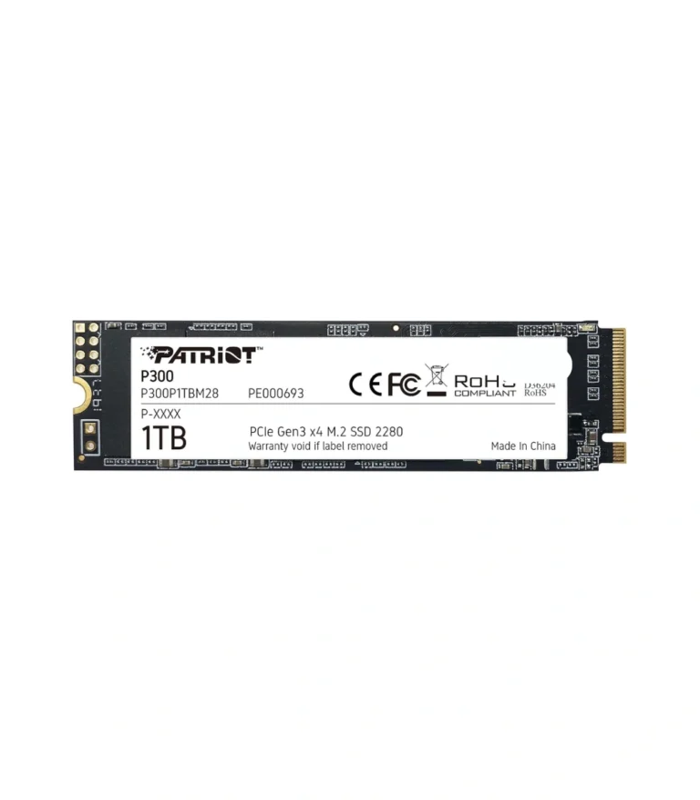 Patriot P300 1TB